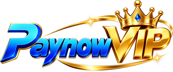 PayNow VIP
